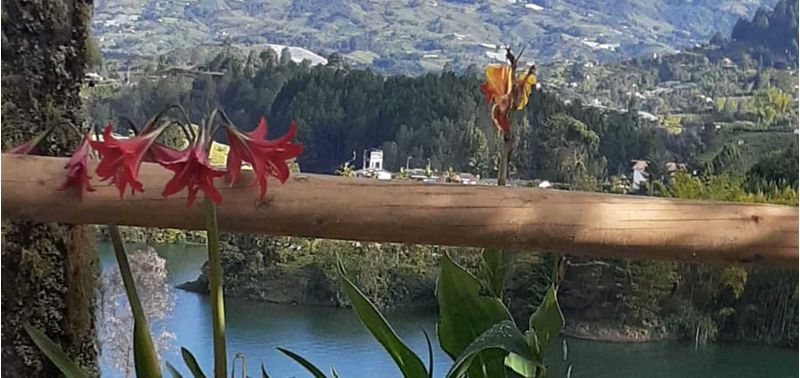 Lote en Venta en Peñol, Peñol-0