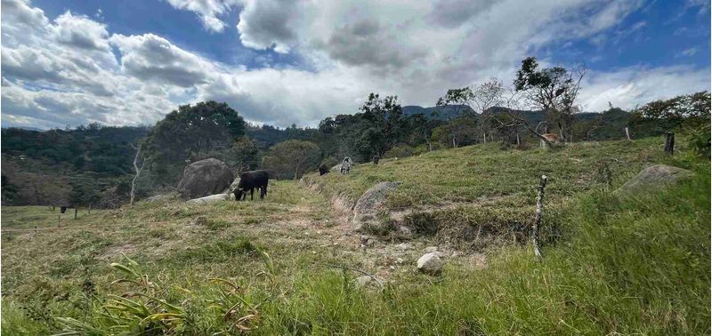 Lote en Venta en Bogotá, D.C., Albán-2