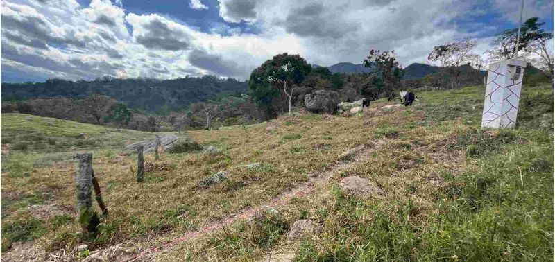 Lote en Venta en Bogotá, D.C., Albán-9