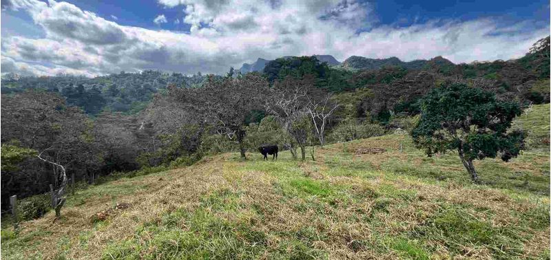 Lote en Venta en Bogotá, D.C., Albán-10