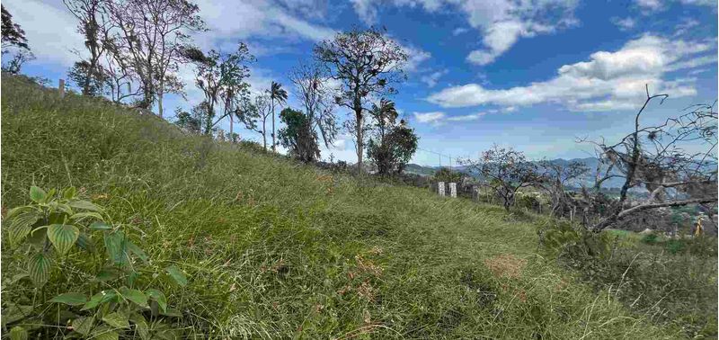 Lote en Venta en Bogotá, D.C., Albán-1