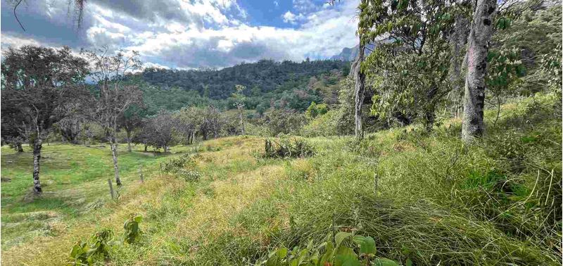 Lote en Venta en Bogotá, D.C., Albán-5