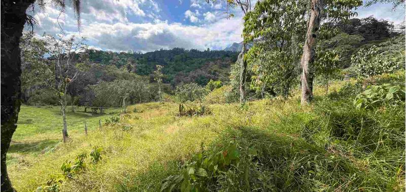 Lote en Venta en Bogotá, D.C., Albán-7