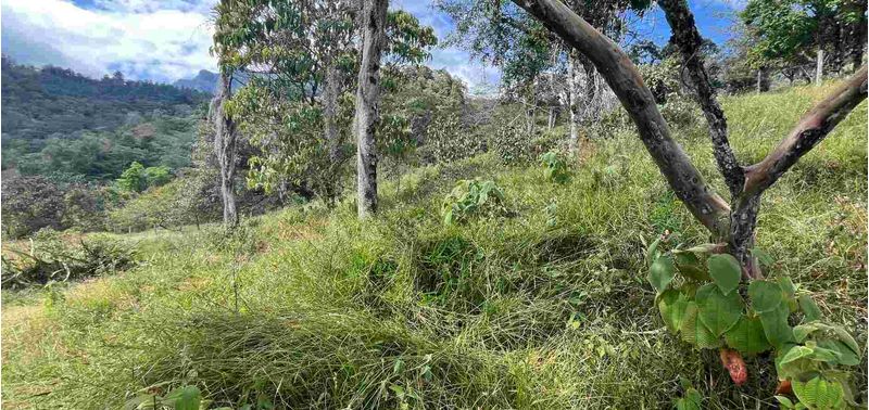 Lote en Venta en Bogotá, D.C., Albán-8