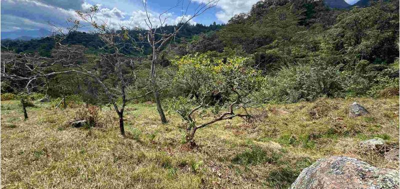 Lote en Venta en Bogotá, D.C., Albán-11
