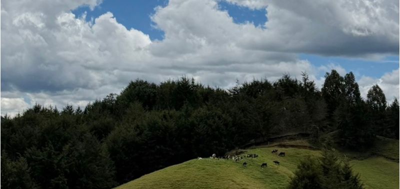 Lote en Venta en Retiro, El Portento-3