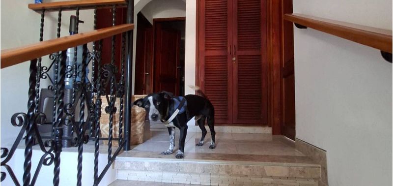 Casa en Venta en Cartagena De Indias, Manga-6