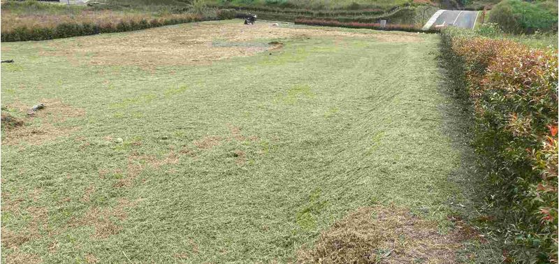 Lote en Venta en Guarne, José María Córdoba-4