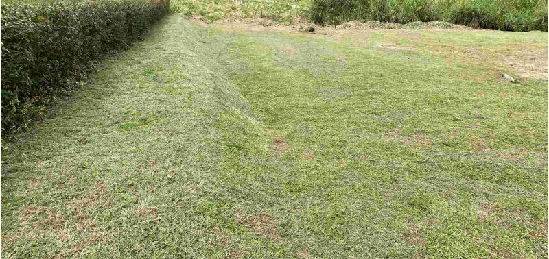 Lote en Venta en Guarne, José María Córdoba-5