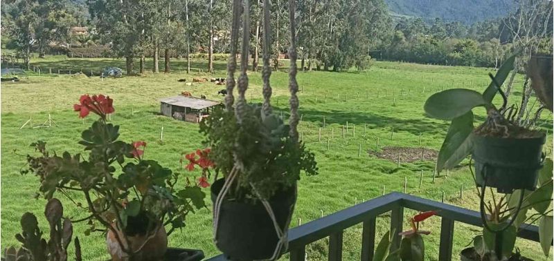 Apartamento en Venta en La Ceja, La Ceja-0