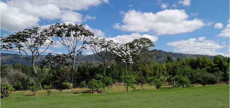 Casa en Venta en Guarne, San Miguel-16