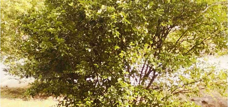 Lote en Venta en San Gil, San Gil-3