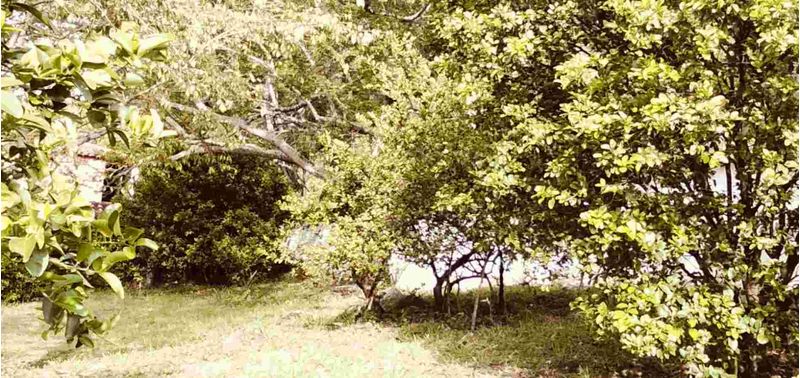 Lote en Venta en San Gil, San Gil-4