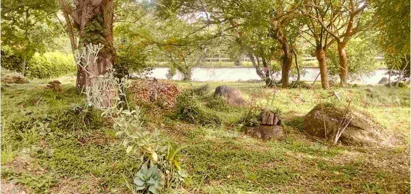 Lote en Venta en San Gil, San Gil-6