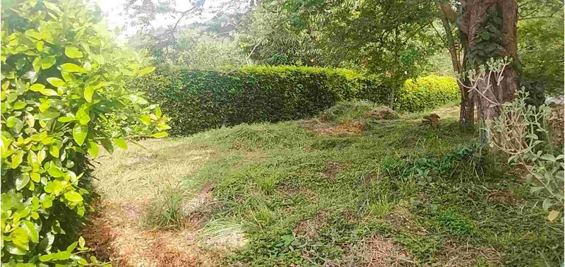 Lote en Venta en San Gil, San Gil-7