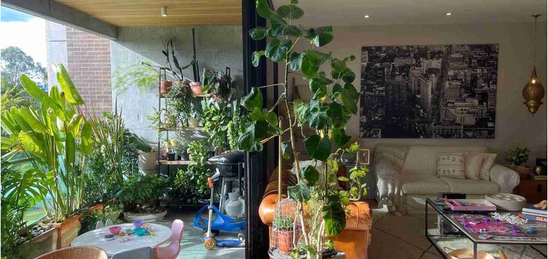 Apartamento en Venta en Medellín, Los Balsos-9