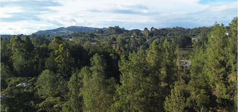 Casa en Venta en Envigado, Alto De Palmas-1