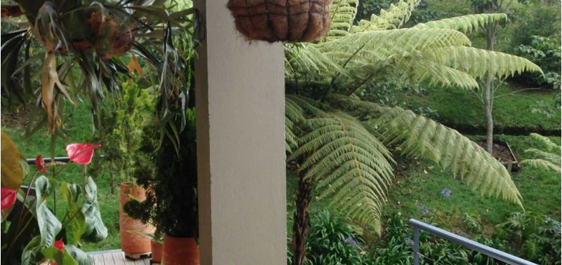 Casa en Venta en Medellín, Las Palmas-5