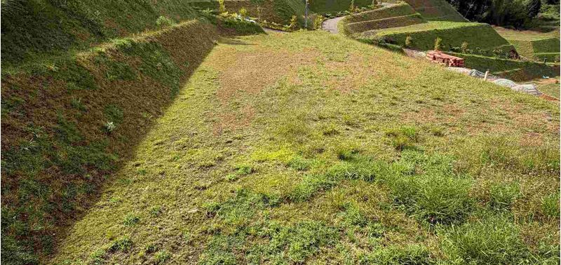 Lote en Venta en Guarne, Centro Guarne-1