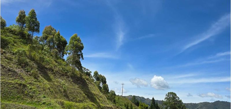 Lote en Venta en Guarne, Toldas-3