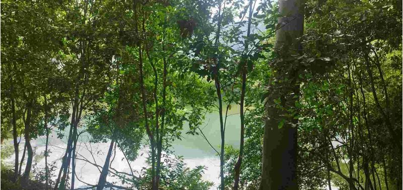 Lote en Venta en San Jerónimo, San Jerónimo-5