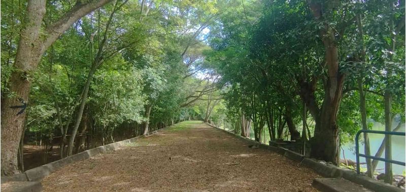 Lote en Venta en San Jerónimo, San Jerónimo-6