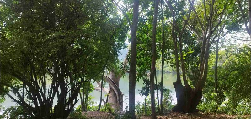 Lote en Venta en San Jerónimo, San Jerónimo-8