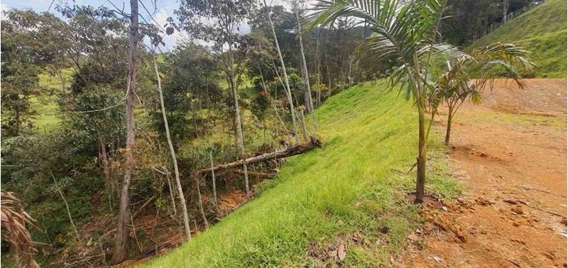 Lote en Venta en La Ceja, La Ceja-6
