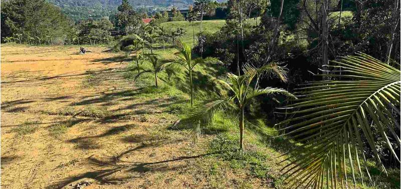 Lote en Venta en La Ceja, La Ceja-8