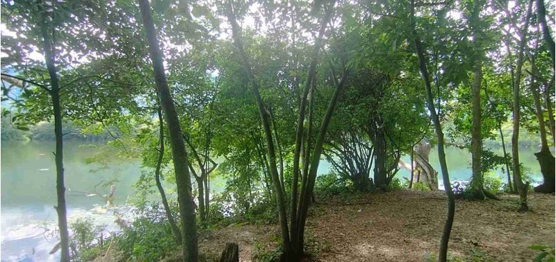 Lote en Venta en San Jerónimo, San Jerónimo-14