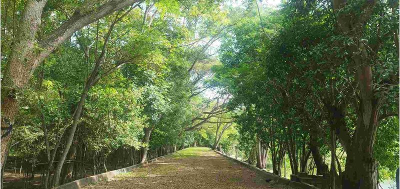 Lote en Venta en San Jerónimo, San Jerónimo-15