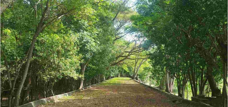 Lote en Venta en San Jerónimo, San Jerónimo-16