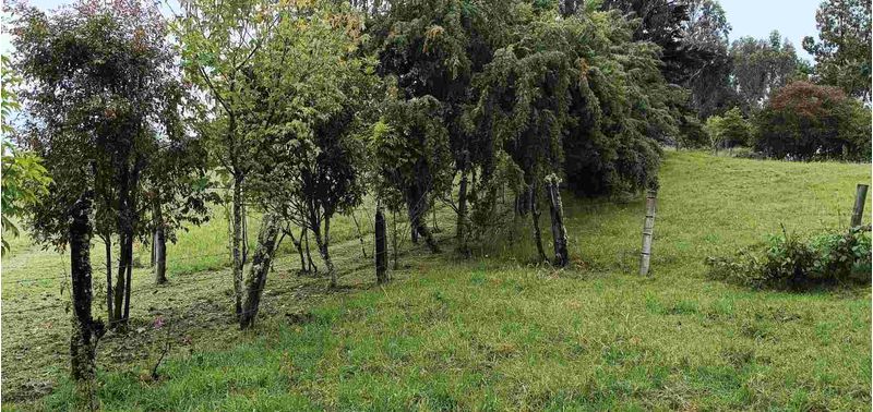 Lote en Venta en Bogotá, D.C., Guasca-11