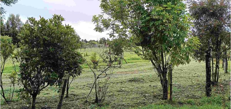 Lote en Venta en Bogotá, D.C., Guasca-22