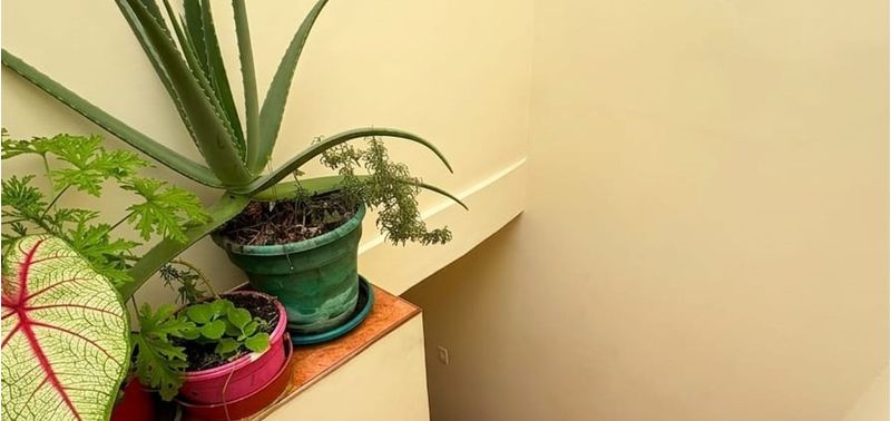 Casa en Venta en Bogotá, D.C., Fusagasugá-5