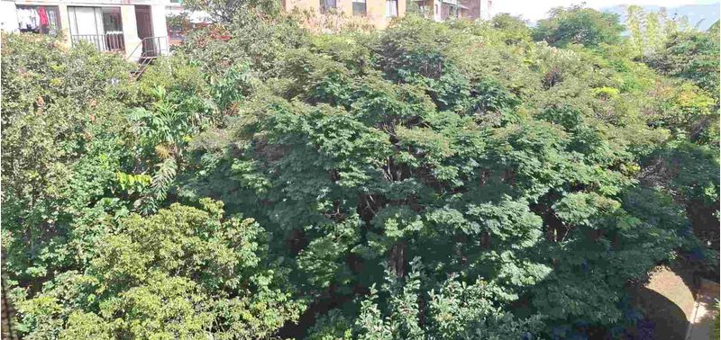 Apartamento en Venta en Envigado, Camino Verde-3