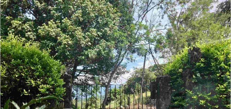 Casa en Venta en Támesis, Támesis-37