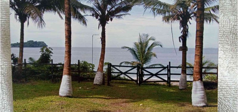 Lote en Venta en Acandí, Acandí-1