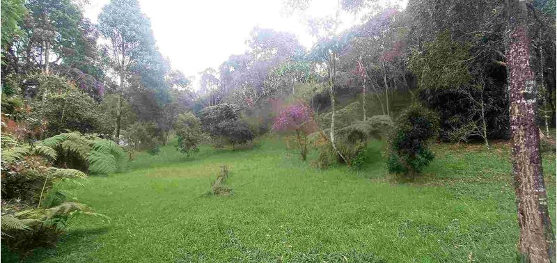 Casa en Venta en Envigado, El Salado-17