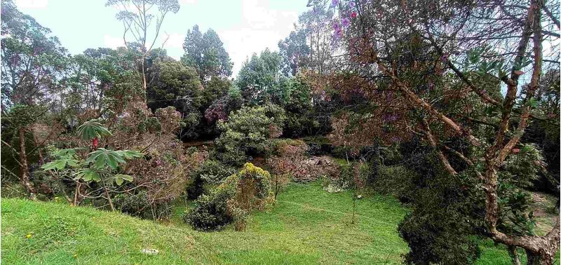 Casa en Venta en Envigado, El Salado-18