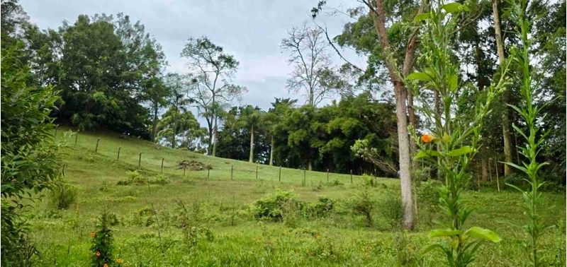Lote en Venta en Rionegro, Rionegro-3