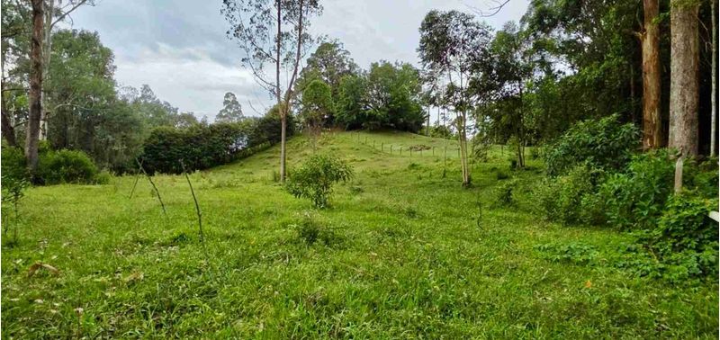 Lote en Venta en Rionegro, Rionegro-4