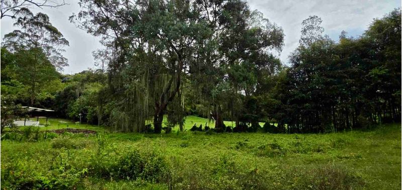 Lote en Venta en Rionegro, Rionegro-6