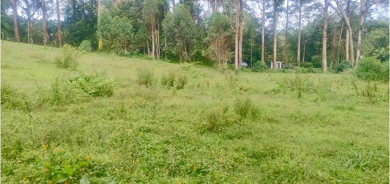 Lote en Venta en Rionegro, Rionegro-9