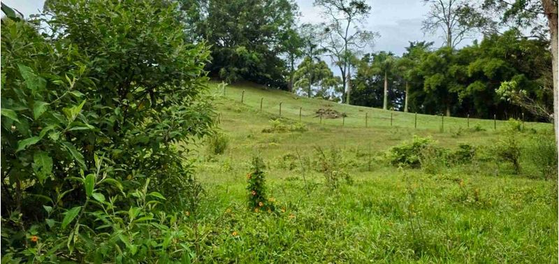 Lote en Venta en Rionegro, Rionegro-10