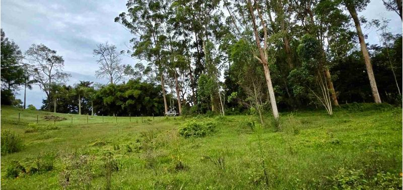 Lote en Venta en Rionegro, Rionegro-13