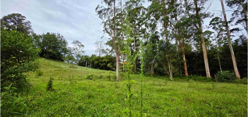Lote en Venta en Rionegro, Rionegro-14