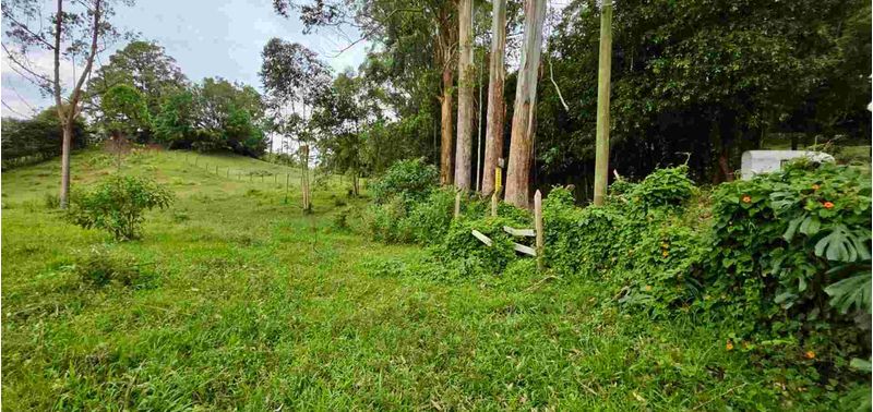 Lote en Venta en Rionegro, Rionegro-18