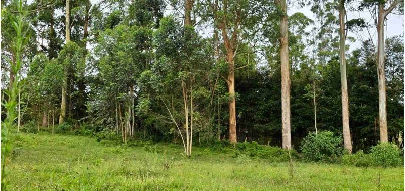 Lote en Venta en Rionegro, Rionegro-20