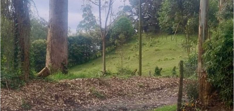 Lote en Venta en Rionegro, Rionegro-22